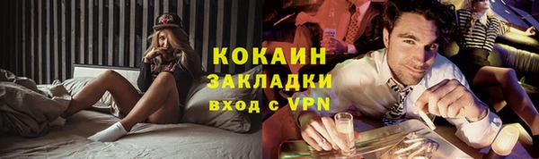 индика Каменногорск
