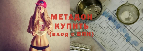 индика Каменногорск