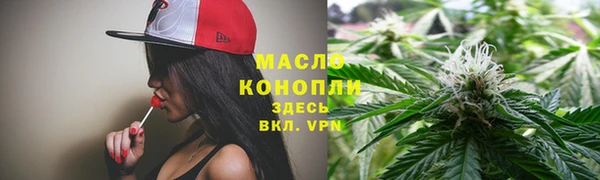 индика Каменногорск