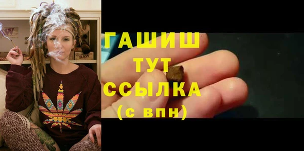 индика Каменногорск