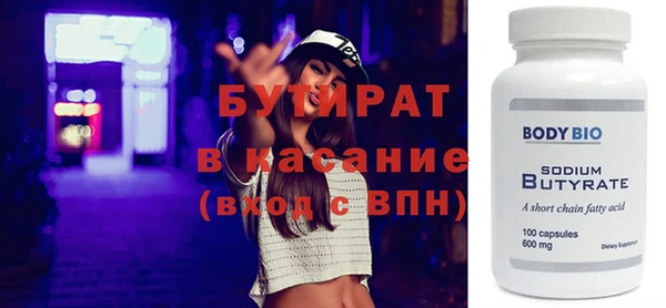 индика Каменногорск