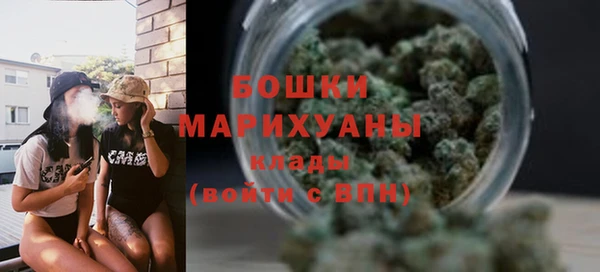 индика Каменногорск