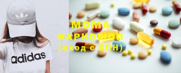 индика Каменногорск