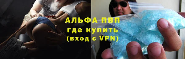 индика Каменногорск