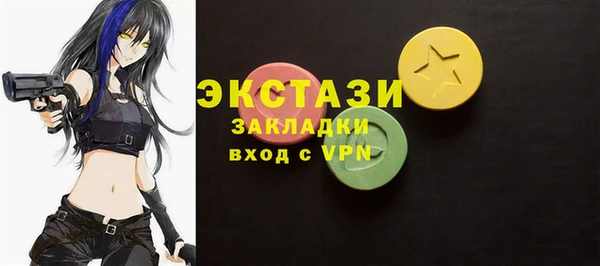 индика Каменногорск