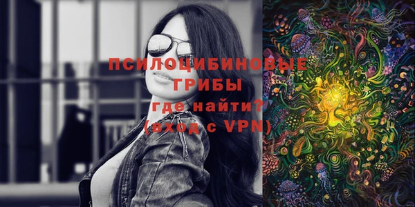 а пвп мука Каменка