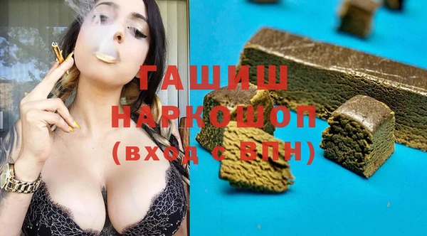 индика Каменногорск