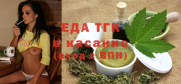 индика Каменногорск