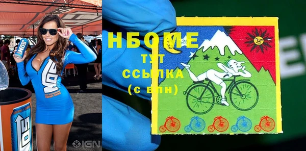 индика Каменногорск