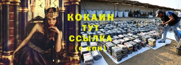 индика Каменногорск