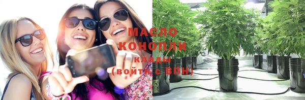 индика Каменногорск